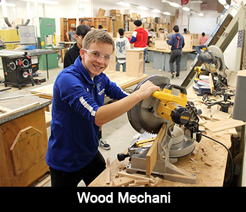 Wood Mechani-pic